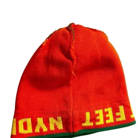 Fleet Feet winter running pom pom beanie 2017 moose orange hat - Picture 4 of 4